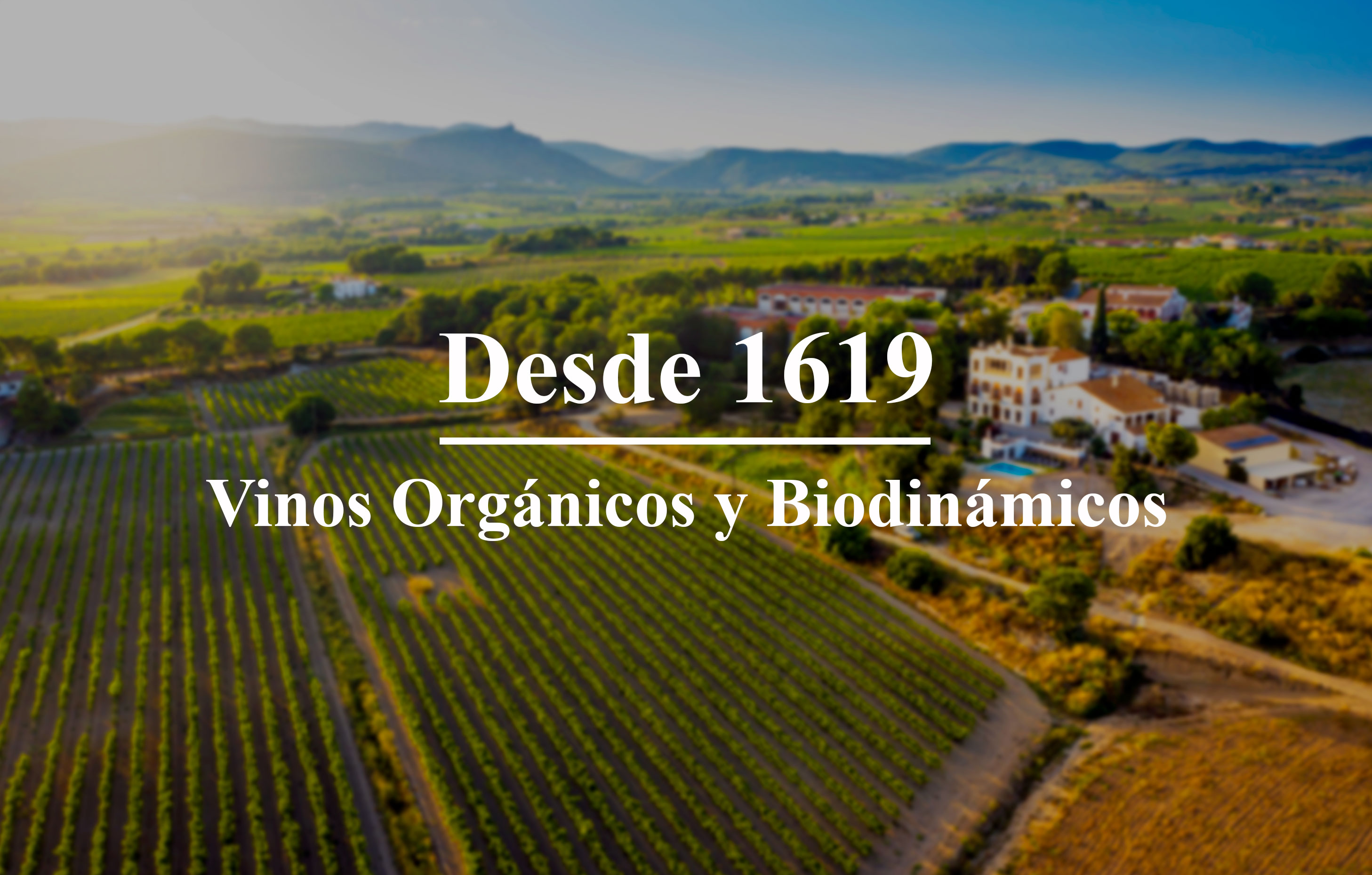 Caves Seta des de 1619 vins orgànics artesanals